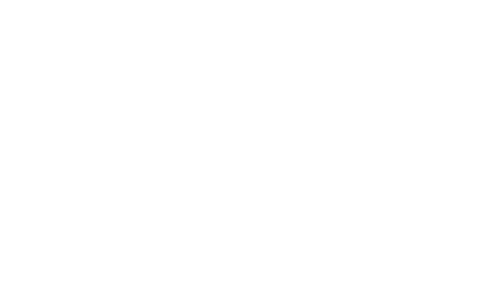 Theory Group
